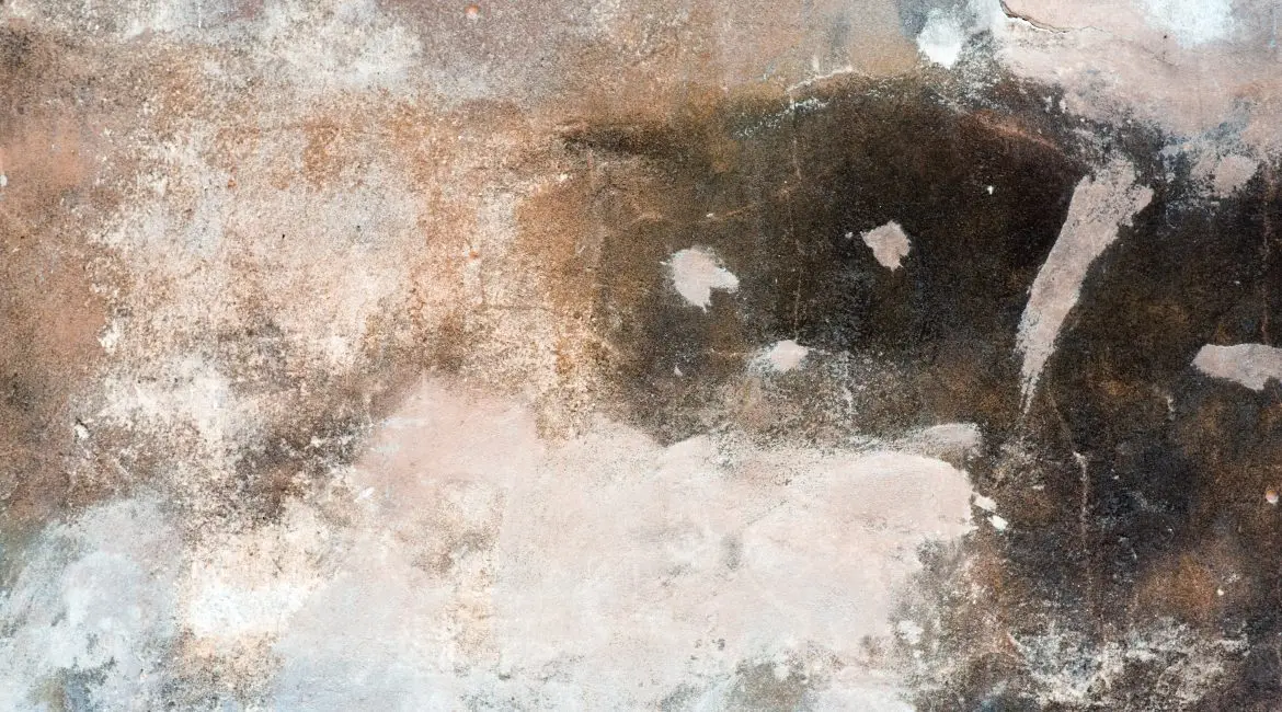 Crawl Space Repair