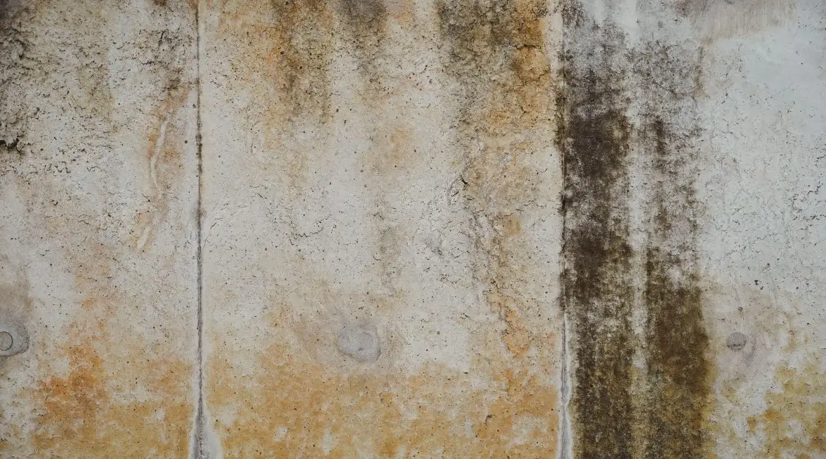 Best Way To Get Rid Of Mold In Crawl Space